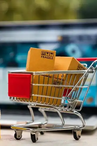 E-commerce Logistics & Last Mile Delivery, Chennai Last mile e-commerce delivery with warehousing, order fulfillment, express shipping for sellers.