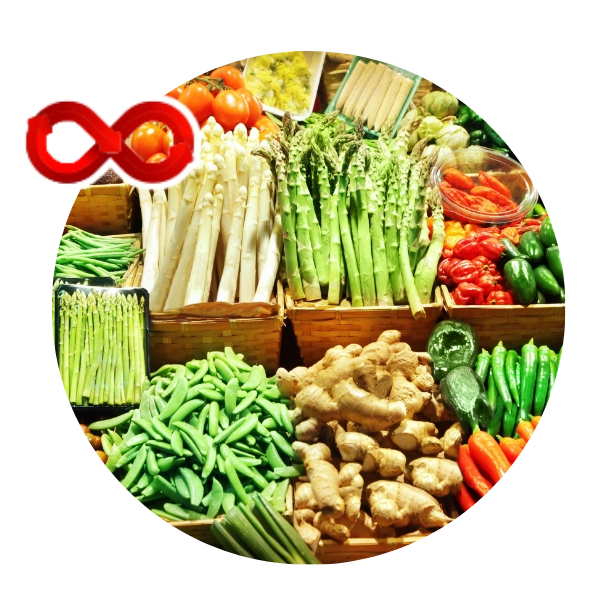 Agri and AgriTech Export Logistics Solutions in Chennai Logistics for agri produce, agri inputs, machinery, and precision farming tools export in Chennai