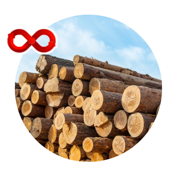 Timber and Forest Products Shipping Services in Chennai Reliable transport of timber, logs, wood panels, and forest-based products for export in Chennai